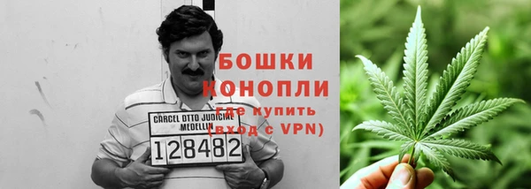 молекула духа Алзамай