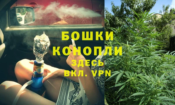 молекула духа Алзамай