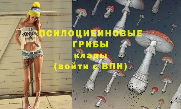молекула духа Алзамай
