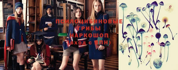 индика Алексин