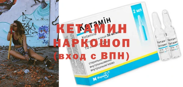 индика Алексин