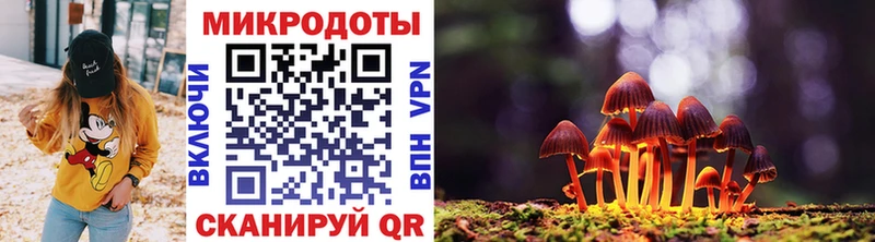 Псилоцибиновые грибы мицелий  Бердск 